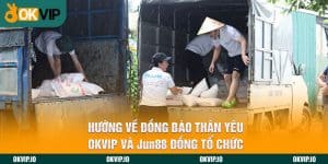 Đối tác - OKVIP - hình ảnh - safeonline-help.com