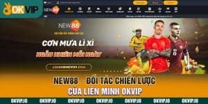 Đối tác - OKVIP - hình ảnh - safeonline-help.com