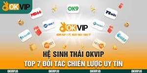 Đối tác - OKVIP - hình ảnh - safeonline-help.com