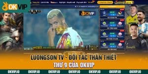 Đối tác - OKVIP - hình ảnh - safeonline-help.com