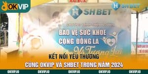 Đối tác - OKVIP - hình ảnh - safeonline-help.com