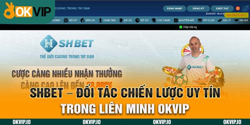 Hệ Sinh Thái OKVIP – Top 7 Đối Tác Chiến Lược Uy Tín - hình ảnh - safeonline-help.com